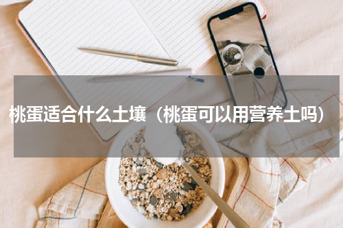 桃蛋适合什么土壤（桃蛋可以用营养土吗）
