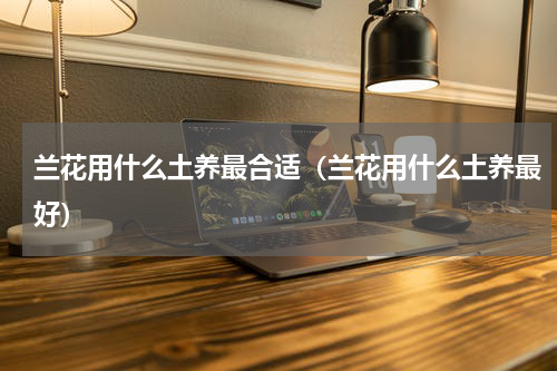 兰花用什么土养最合适（兰花用什么土养最好）