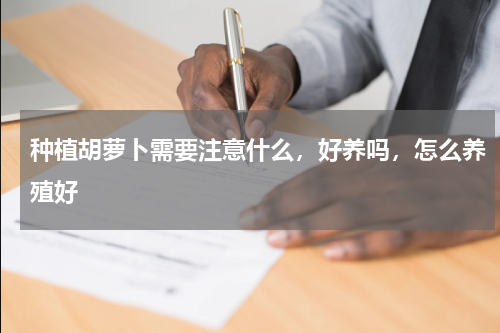 种植胡萝卜需要注意什么，好养吗，怎么养殖好
