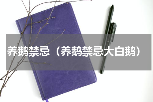养鹅禁忌（养鹅禁忌大白鹅）