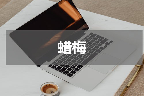 蜡梅