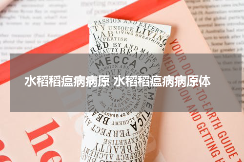 水稻稻瘟病病原 水稻稻瘟病病原体