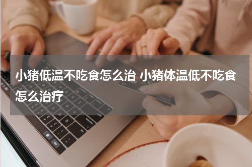 小猪低温不吃食怎么治 小猪体温低不吃食怎么治疗
