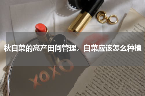 秋白菜的高产田间管理，白菜应该怎么种植
