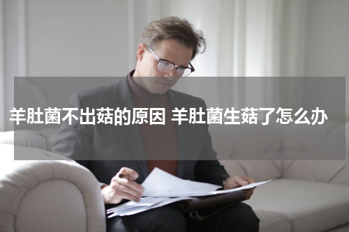 羊肚菌不出菇的原因 羊肚菌生菇了怎么办