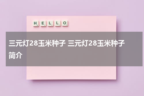 三元灯28玉米种子 三元灯28玉米种子简介