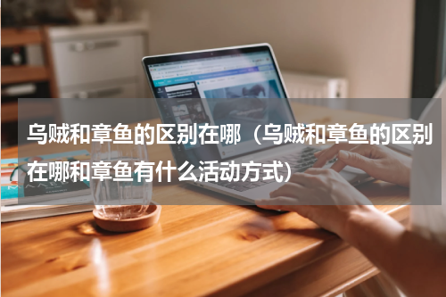 乌贼和章鱼的区别在哪（乌贼和章鱼的区别在哪和章鱼有什么活动方式）