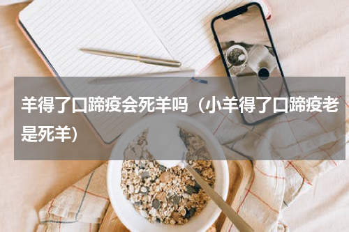 羊得了口蹄疫会死羊吗（小羊得了口蹄疫老是死羊）
