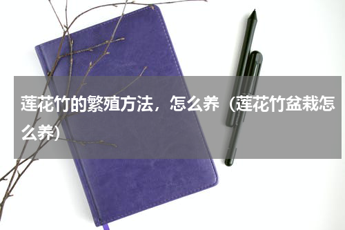 莲花竹的繁殖方法，怎么养（莲花竹盆栽怎么养）