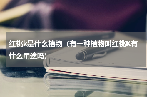 红桃k是什么植物（有一种植物叫红桃K有什么用途吗）