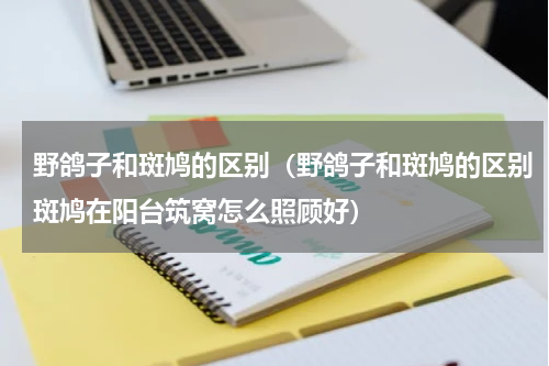 野鸽子和斑鸠的区别（野鸽子和斑鸠的区别斑鸠在阳台筑窝怎么照顾好）