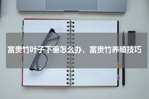 富贵竹叶子下垂怎么办，富贵竹养殖技巧