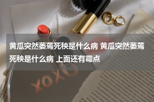 黄瓜突然萎蔫死秧是什么病 黄瓜突然萎蔫死秧是什么病 上面还有霉点