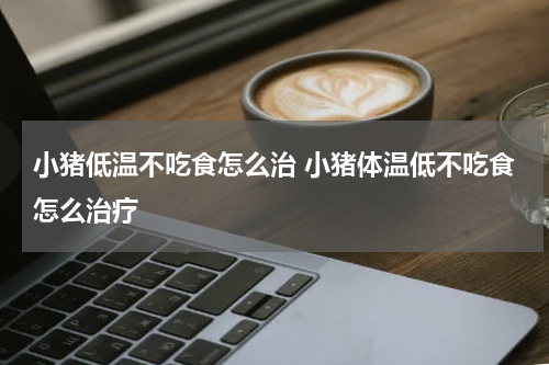 小猪低温不吃食怎么治 小猪体温低不吃食怎么治疗