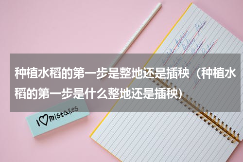 种植水稻的第一步是整地还是插秧（种植水稻的第一步是什么整地还是插秧）