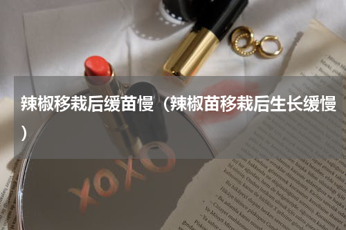 辣椒移栽后缓苗慢（辣椒苗移栽后生长缓慢）