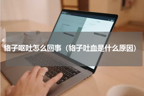 貉子呕吐怎么回事（貉子吐血是什么原因）