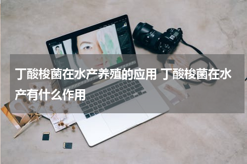 丁酸梭菌在水产养殖的应用 丁酸梭菌在水产有什么作用