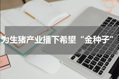 为生猪产业播下希望“金种子”