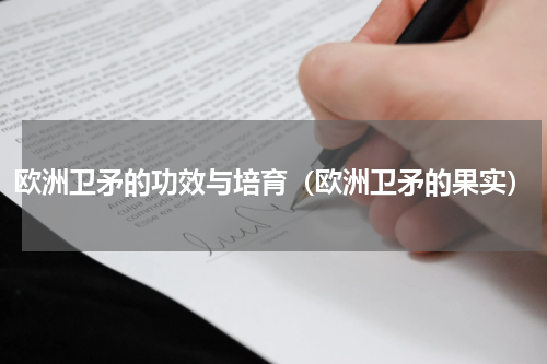 欧洲卫矛的功效与培育（欧洲卫矛的果实）