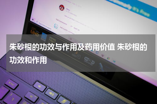 朱砂根的功效与作用及药用价值 朱砂根的功效和作用