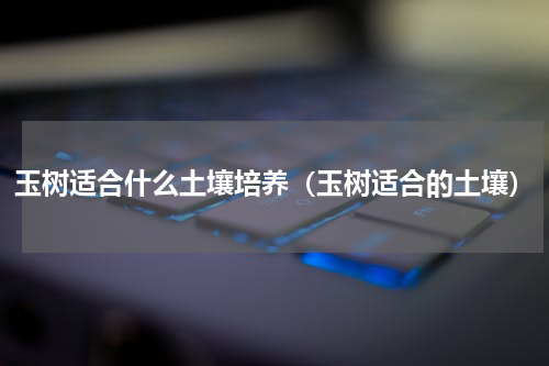 玉树适合什么土壤培养（玉树适合的土壤）
