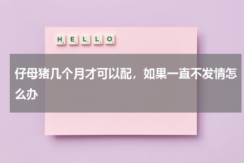 仔母猪几个月才可以配，如果一直不发情怎么办