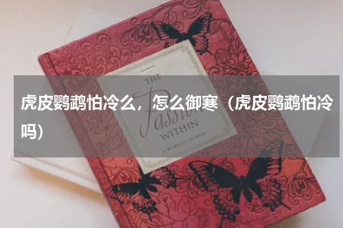 虎皮鹦鹉怕冷么，怎么御寒（虎皮鹦鹉怕冷吗）
