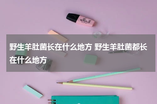 野生羊肚菌长在什么地方 野生羊肚菌都长在什么地方