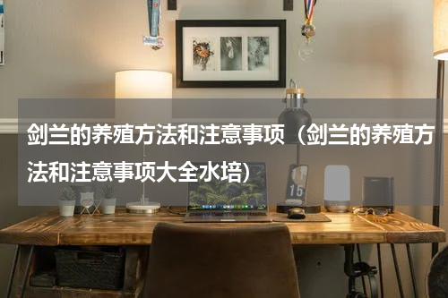 剑兰的养殖方法和注意事项（剑兰的养殖方法和注意事项大全水培）