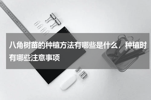 八角树苗的种植方法有哪些是什么，种植时有哪些注意事项