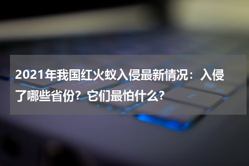 2021年我国红火蚁入侵最新情况：入侵了哪些省份？它们最怕什么？