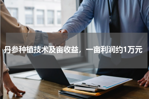 丹参种植技术及亩收益，一亩利润约1万元