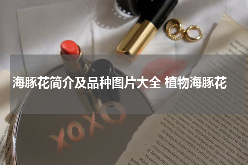 海豚花简介及品种图片大全 植物海豚花