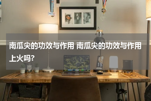 南瓜尖的功效与作用 南瓜尖的功效与作用上火吗?
