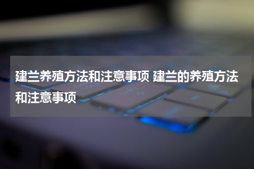 建兰养殖方法和注意事项 建兰的养殖方法和注意事项