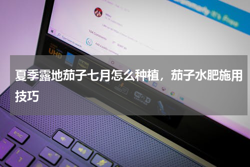 夏季露地茄子七月怎么种植，茄子水肥施用技巧