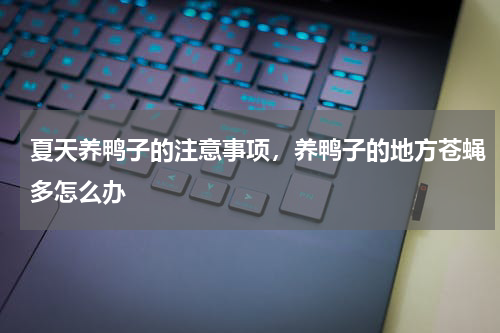 夏天养鸭子的注意事项，养鸭子的地方苍蝇多怎么办