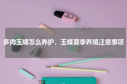 多肉玉蝶怎么养护，玉蝶夏季养殖注意事项