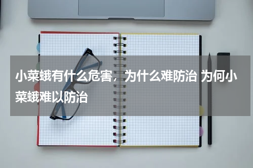 小菜蛾有什么危害，为什么难防治 为何小菜蛾难以防治