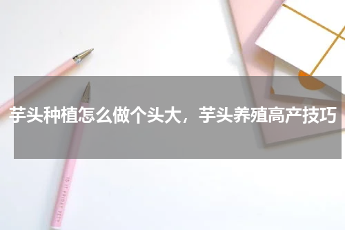 芋头种植怎么做个头大，芋头养殖高产技巧