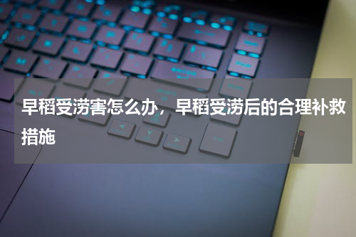 早稻受涝害怎么办，早稻受涝后的合理补救措施