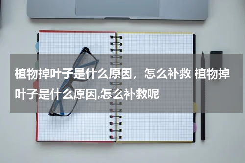 植物掉叶子是什么原因，怎么补救 植物掉叶子是什么原因,怎么补救呢