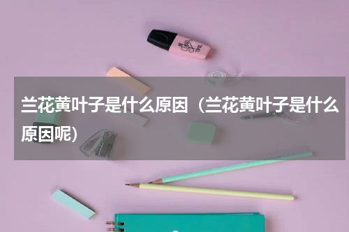 兰花黄叶子是什么原因（兰花黄叶子是什么原因呢）