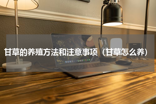 甘草的养殖方法和注意事项（甘草怎么养）