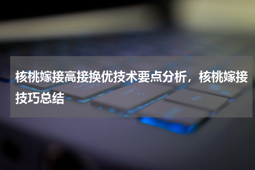 核桃嫁接高接换优技术要点分析，核桃嫁接技巧总结