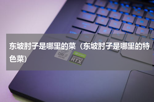 东坡肘子是哪里的菜（东坡肘子是哪里的特色菜）