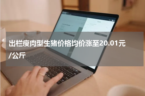 出栏瘦肉型生猪价格均价涨至20.01元/公斤