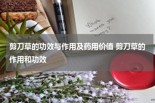 剪刀草的功效与作用及药用价值 剪刀草的作用和功效