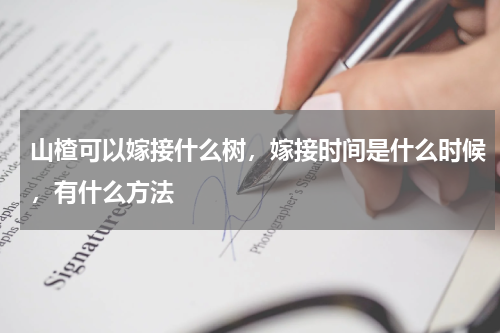 山楂可以嫁接什么树，嫁接时间是什么时候，有什么方法